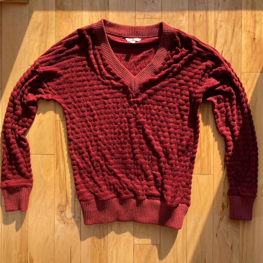 NWOT LL Bean v neck‎ sweater